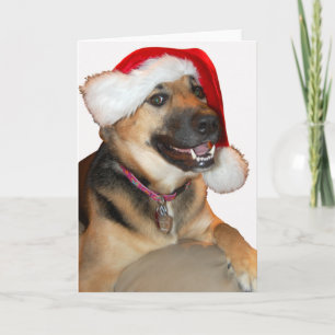 Cartão De Festividades German shepherd de Natal