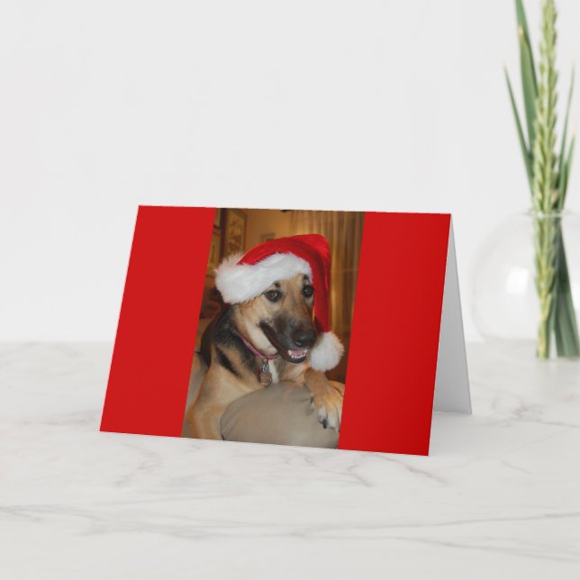 Cartão De Festividades German shepherd de Natal (Frente)
