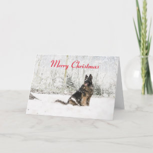 Cartão De Festividades German shepherd na neve