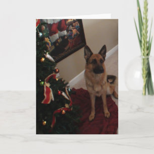 Cartão De Festividades german shepherd Natal