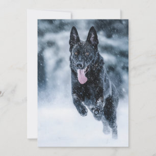 Cartão De Festividades German shepherd preto no Cobrir da escova de neve