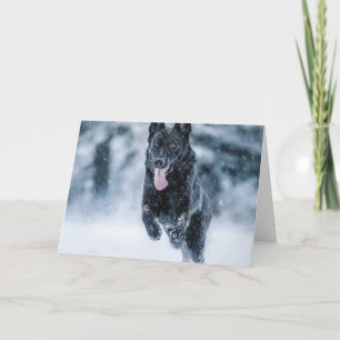 Cartão De Festividades German shepherd preto no Cobrir da escova de neve