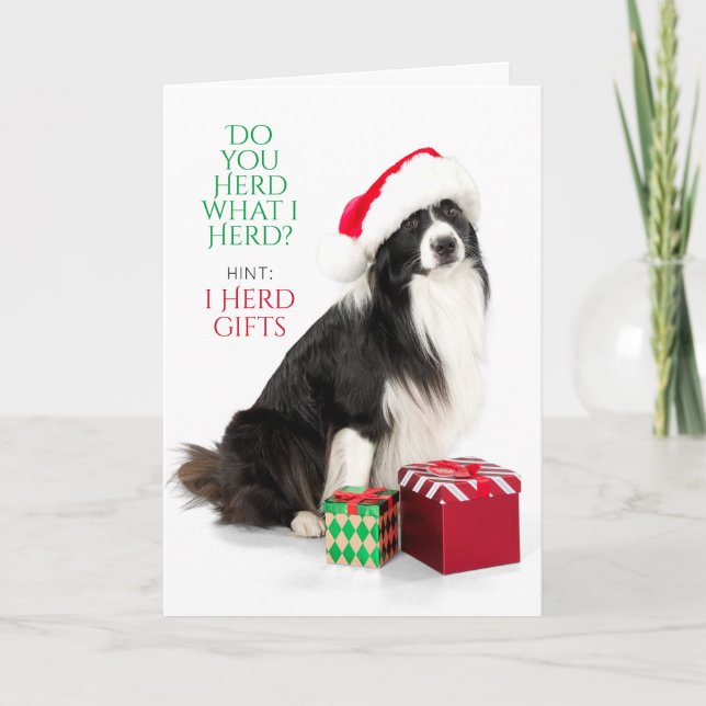 Cartão De Festividades Gift Herding Border Collie Com Santa Hat Holiday (Frente)