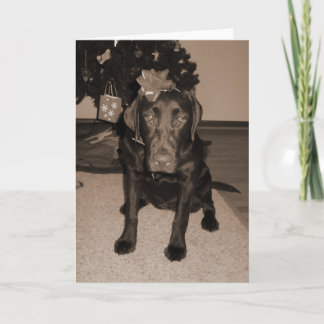 Cartão De Festividades Gift Wrapped Labrador