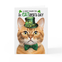 Ginger Cat Rua CATrick Dia da Sorte