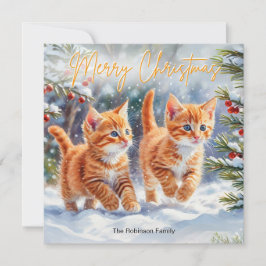 Cartão De Festividades Ginger Pets Kittens Festivo Feliz Natal