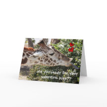 Girafa engraçado, pronto para seu beijo dos