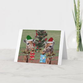 Cartão De Festividades Girafas do Natal