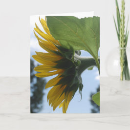 Cartão De Festividades Girassóis na França