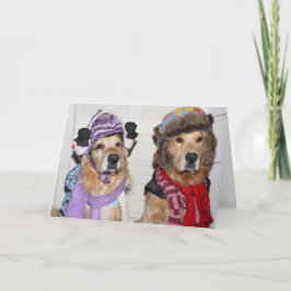 Cartão De Festividades Golden Empacotados para as Festas de Inverno