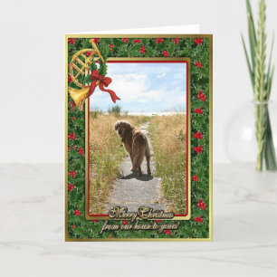 Cartão De Festividades Golden Retriever Blank Christmas Card