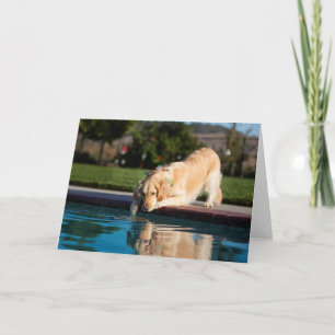 Cartão De Festividades Golden Retriever Blank Holiday Note Card
