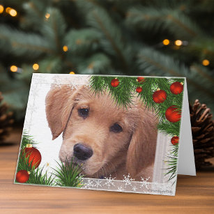 Cartão De Festividades Golden Retriever Christmas Card
