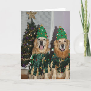 Cartão De Festividades Golden Retriever Christmas Trees