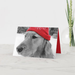 Cartão De Festividades Golden Retriever Dog Happy Holidays Greeting Card