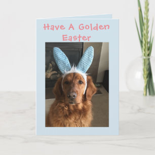 Cartão De Festividades Golden Retriever Easter
