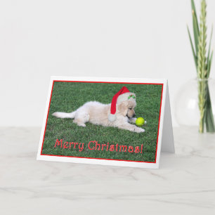 Cartão De Festividades Golden Retriever Puppy Christmas Card Folded