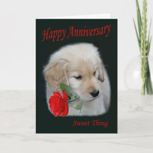 Cartão De Festividades Golden Retriever Puppy Happy Anniversary Card