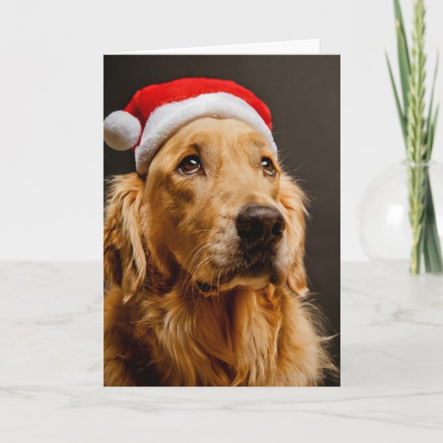 Cartão De Festividades Golden retriever que levanta para seu Natal (Frente)