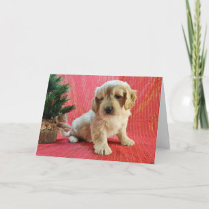 Cartão De Festividades Goldendoodle Holiday Card