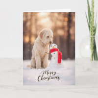 Goldendoodle Papai Noel Boneco de Neve