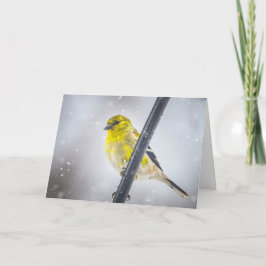 Cartão De Festividades Goldfinch in the snow Folded Christmas Card