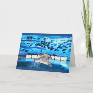 Cartão De Festividades Golfinhos em movimento