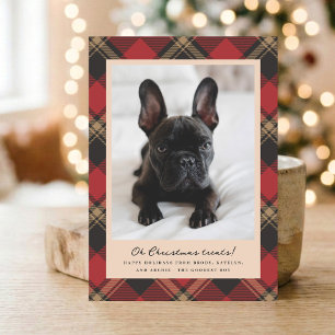 Cartão De Festividades Golosinas de Natal com Foto de Animal de Estimação