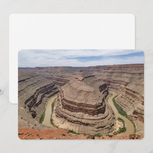 Cartão De Festividades Goosenecks