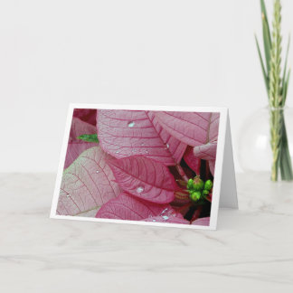 Cartão De Festividades Gotas da chuva