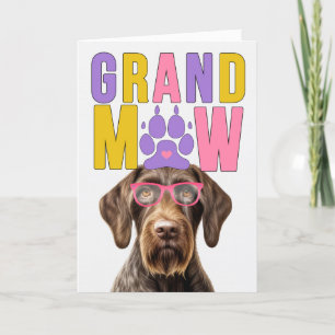 Cartão De Festividades Grand MAW Wirehair Pointer Engraçado Dia dos Avós