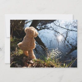 Cartão De Festividades Grappige beer die ondeugend plast.