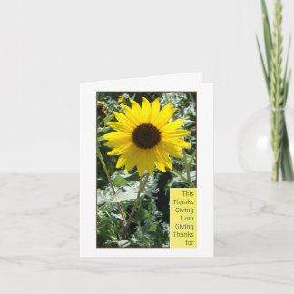 Cartão De Festividades Grato para você