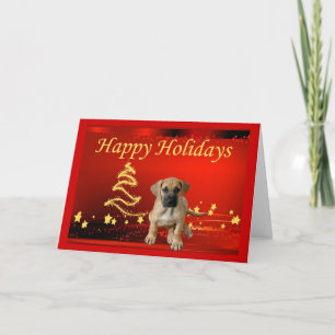 Cartão De Festividades Great Dane Christmas Card Stars