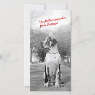 Cartão De Festividades Great Dane Christmas foto cards