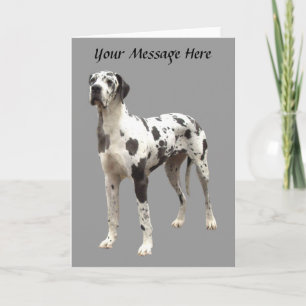 Cartão De Festividades Great Dane Harlequin Greeting Card