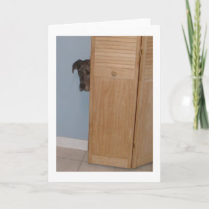 Cartão De Festividades Great Dane Valentines Card