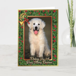 Cartão De Festividades Great Pyrenees Dog Blank Christmas Card