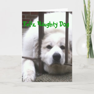 Cartão De Festividades Great Pyrenees Holiday Greetings