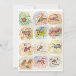 Cartão De Festividades Greeting card with colorful images of twelve bugs
