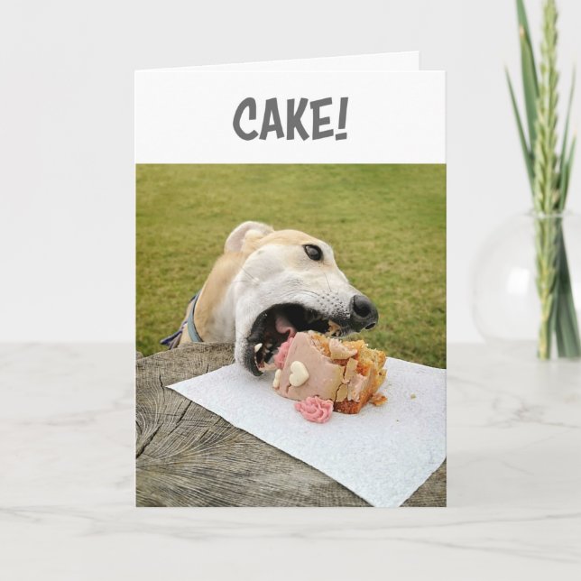 Cartão De Festividades Greyhound Dog Birthday Cake (Frente)