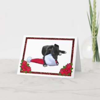 Cartão De Festividades Greyhound Puppy Mastigando Papai Noel Natal Natal
