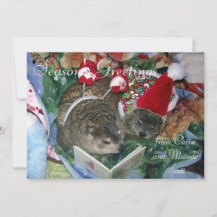Cartão De Festividades Groundhogs Clara and Maude's Holiday Greeting