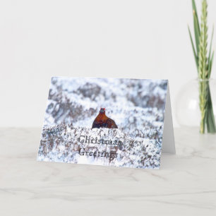 Cartão De Festividades Grouse in a Blizzard Christmas Greetings Card