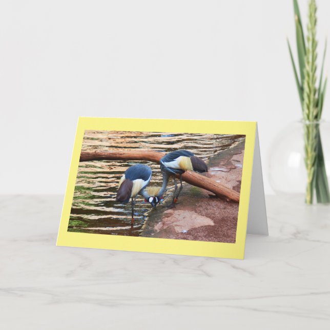 Cartão De Festividades gruas coroadas de cinza (Frente)