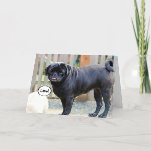 Cartão De Festividades Grumpy Pug Valentine's Day Card