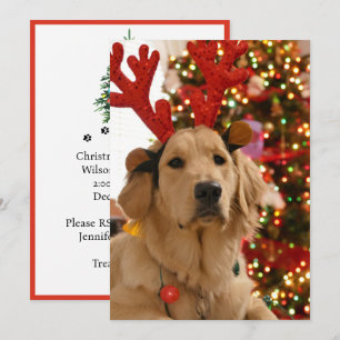 Cartão De Festividades Grupo de brincadeiras de Natal para cães Amigos Pe