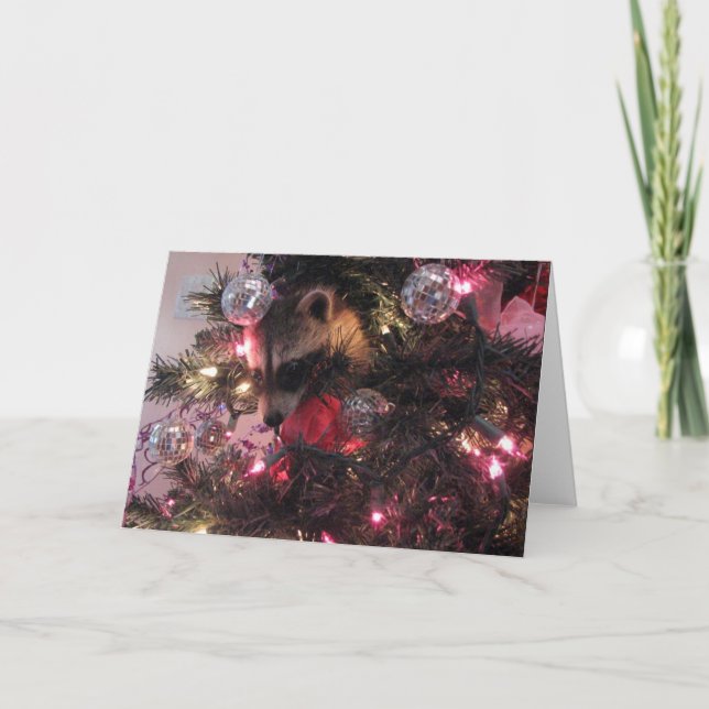 Cartão De Festividades Guaxinim do Natal (Frente)