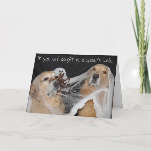 Cartão De Festividades Halloween na Web do ouro Retriever Spider (Frente)