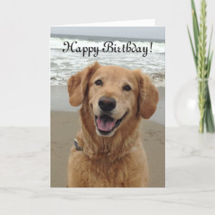 Cartão De Festividades Happy Birthday Golden Retriever